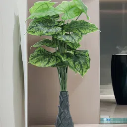 Foliyaj 18 Leaf Alocasia-D Plant with Floor Base-picture-28