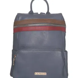 Caprese Brigetta Blue & Red Color Block Backpack-26