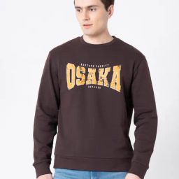 Red Tape Brown Full Sleeves Round Neck Sweatshirt-image-93