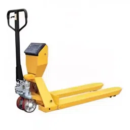 Aczet CTG-1PT 1000 Kg (1 Ton) Weighing Capacity Mild Steel Pallet Scale-image-61