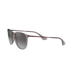 Ray-Ban 0RB4171 Light Grey Polarized Erika Round Sunglasses - 54 mm image 2