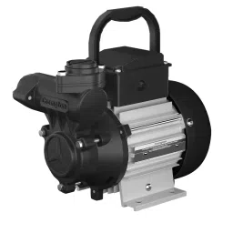 Crompton 1 HP Single Phase Self Priming Regenerative Pump, CHAMP DURA I-picture-38
