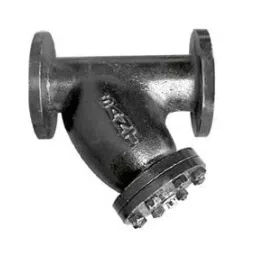 Sant 300 mm Cast Iron Y Type Strainer CI 16B-image-28