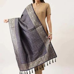 Silk Land Navy Woven Pattern Dupatta-picture-8