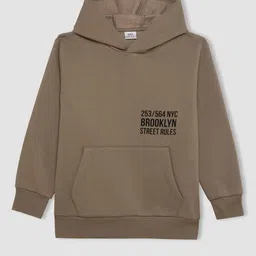 DeFacto Boys Printed Hooded Sweatshirt-image-93