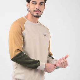 Numero Uno Beige Regular Fit Colour Block Sweatshirt image 4