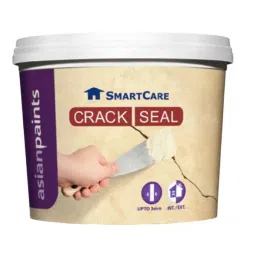 Asian Paints Smartcare Crack Seal 360 g Super White, 1050-image-78