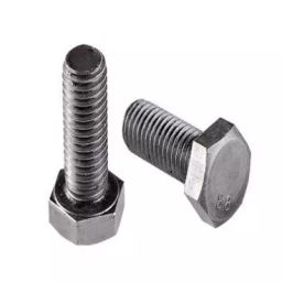 Agarwal Fastners (Dia 24mm Length 90mm) AISI 304 Stainless Steel Hex Bolt-image-39