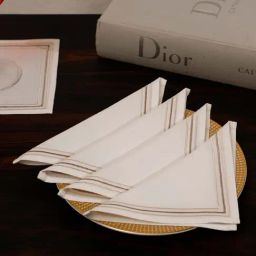 INV Home White 100% Cotton Benno Embroidery Cocktail Napkin - Set of 6-48