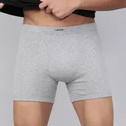 Levi's Grey Cotton Regular Fit Trunks-picture-38