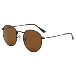 Ted Smith Brown Round UV Protection Unisex Sunglasses-image-91