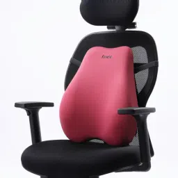 Frido Barbie Pink Memory Foam Basic Backrest Lumbar Support Cushion-picture-48