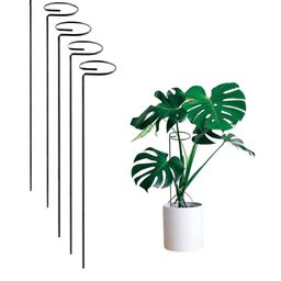 Go Hooked Black 5 Pieces Metal Plant Stakes-20