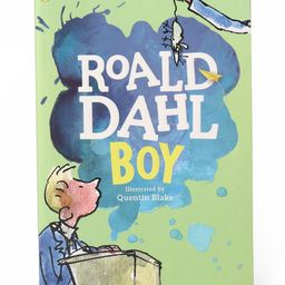 Boy Tales of Childhood By Roald Dahl- English-13