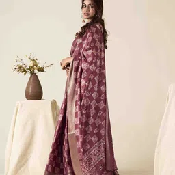 DIVASTRI Woven Design Zari Saree-picture-19
