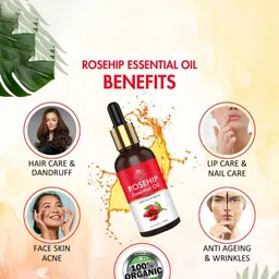 INTIMIFY Rose Hip Essential Oil For Reducing Hyperpigmentation - 30 ml image 3