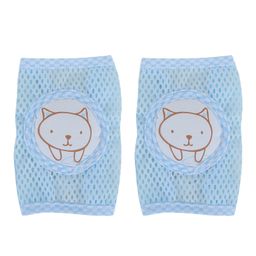 Kassy Pop Anti-Slip Knee Pads Kitty Print - Blue-36