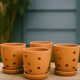 The handicraftian Orange 4 Pieces Hexane Orchid Terracotta Small Planters-picture-22
