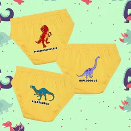 NUSYL Boys Pack Of 3 Printed Mid Rise Basic Briefs - NUBCBRFPO3.0127-image-63