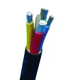 Havells 4 sq.mm 4 Core 650 V/1100 V Aluminium Conductor Unarmoured LT Power Cable A2XY (Length of 1 m)-image-74