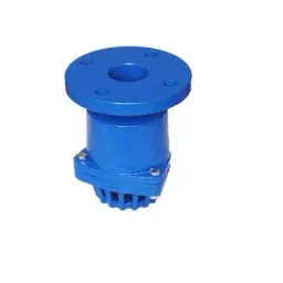 Kartar 300 mm Flanged Cast Iron Foot Valve K 519-picture-24