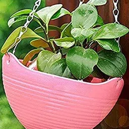 Hanging Planters with Metal Hanging Chain-image-97