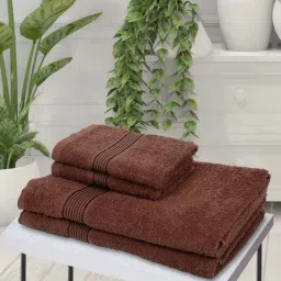 Bianca D'ross Brown 380 Towel Set-image-22