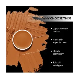 Stars Cosmetics Matte Finish Face Make Up Foundation Palette Refill FS29 - 4 gm image 2