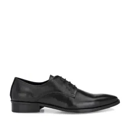 Carlo Romano Men's Black Derby Shoes-picture-31