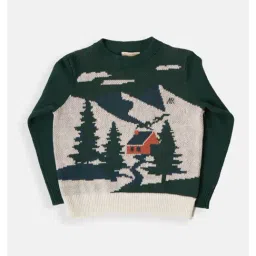 Angel & Rocket Kids Green Printed Full Sleeves Sweater-image-62