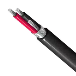 Havells 4 sq.mm 3 Core 650 V/1100 V Aluminium Conductor Armoured LT Power Cable A2XWY/A2XFY (Length of 1 m)-image-73