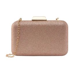 Lino Perros Champagne Shimmer Medium Clutch-picture-16