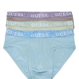 Guess Cloud Blue Pistachio Regular Fit Briefs - Pack of 3-picture-43