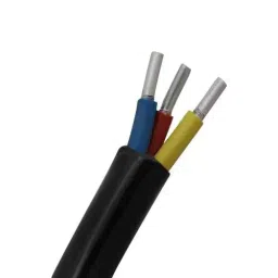 Havells 4 sq.mm 3 Core 650 V/1100 V Aluminium Conductor Unarmoured LT Power Cable A2XY (Length of 1 m)-image-75