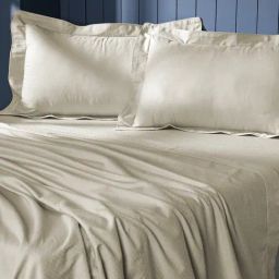 Maspar Isadora Vanilla Cotton Floral 300 TC King Flat Bedsheet with 2 Pillow Cases-picture-28