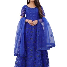 APNISHA Royal Blue Embroidered Semi-Stitched Gown-image-10