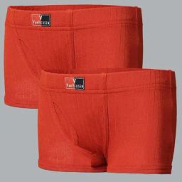 Van Heusen Regular Fit Anti Bacterial Colour Fresh Trunks - Pack of 2 - Rooibos Tea-picture-21