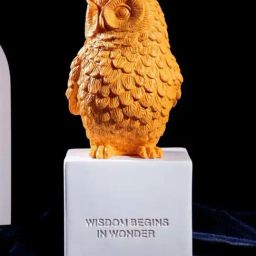 Smokey Cocktail Yellow Resin Wise Owl Brings Fortune Sculpture-image-43