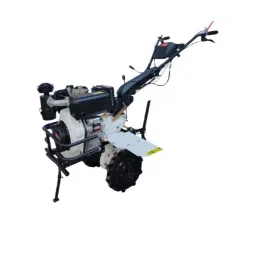Really 4 Stroke 5.5 kW 10 Hp Diesel Engine, Rapl-Rh-785d-image-41