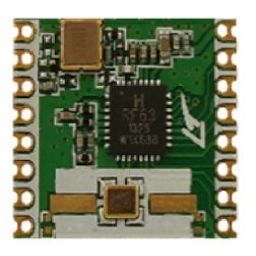 HOPERF RF module RFM63W-915MHz-2