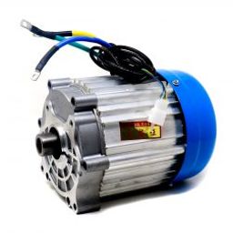 Yalu Brushless DC Motor 3000W 60 V-18