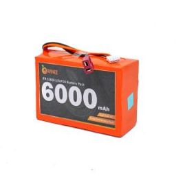 Pro-Range IFR 32650 9.6V 6000mAh 3C 3S1P LiFePO4 Battery Pack-11