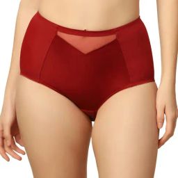 Triumph Red Plain Panty-image-94