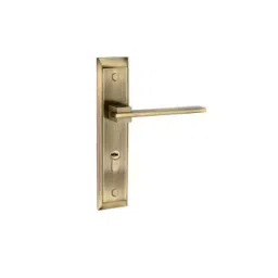Bonus Premier 70 mm Brass Brush Brass Finish Emerald 2- 8 Inch Handle Set-9