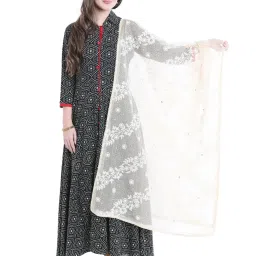 Dupatta Bazaar Beige Dupatta image 1