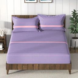 Nautica Noridge Purple & Pink Cotton Stripe 160 TC Bedsheet with 2 Pillow Covers-picture-23