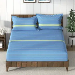 Nautica Noridge Blue & Green Cotton Stripe 160 TC Bedsheet with 2 Pillow Covers-picture-33