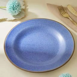 Fabindia Anaarbagh Blue Ceramic Glazed Dinner Plate-image-64