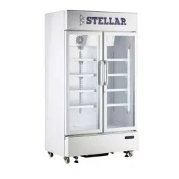 STELLAR GASTRONOM Visi Cooler Double Door 900 L 1200x600x2000 mm with Canopy, VC 900-17