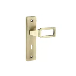 Bonus Compact 70 mm Mild Steel and Zinc Alloy Matt Finish Leo Mortice Lock Set-image-99